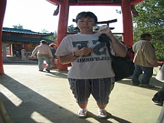 Miroirs déformants 13